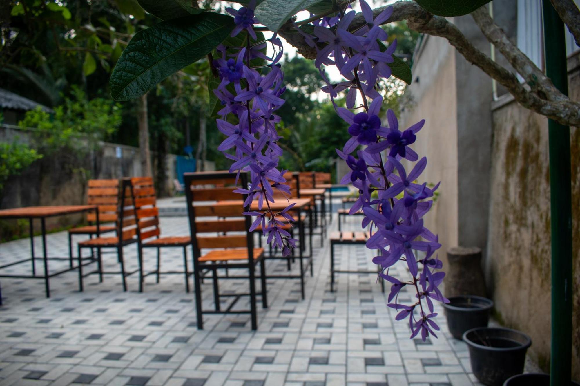 פראדניה Villa Tranquil Kandy מראה חיצוני תמונה